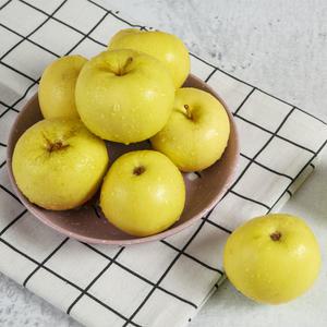 [충주씨샵]충주 시나노골드 3kg(14과내)