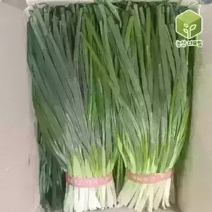 국내산 흙쪽파 깐쪽파 10kg 1box