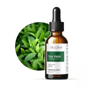 베로나 아로마테라피 100% 천연 에센셜 진정 아로마오일 원액 30ml 1개, 티트리