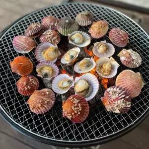 통영 제철 최상급 홍가리비 가리비 구이 찜 3kg