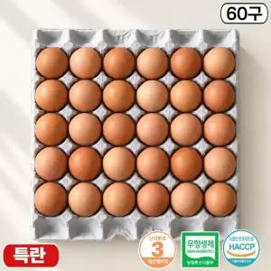 제이피농장 무항생제 계란 난각번호 3번 신선한 특란 60구