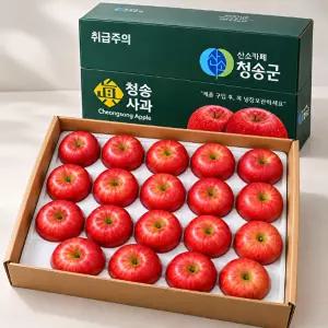 [산들곳간] 산지직송 VIP 선물용 청송사과 5kg (16-25 대과)