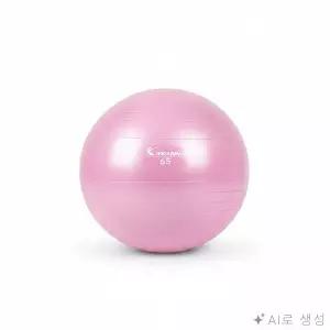 모두상회 홈트 짐볼 65CM 발란스볼