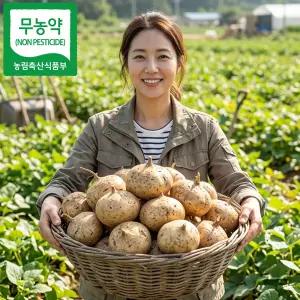 SH마트 무농약인증 국내산 히카마 3kg 5kg 슈퍼푸드 멕시코감자