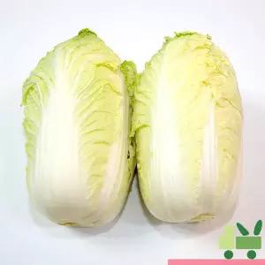 알배기배추 (쌈배추) 6통 (특)