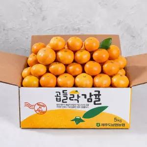 [AI 선별] 제주남원농협 노지 감귤 4.5kg 로얄과 (2S-M) 실중량