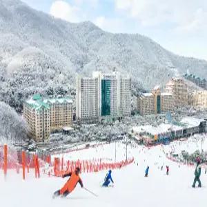 26/27 비발디파크 시즌패스+장비렌탈 패키지(스마트/프리미엄)/비발디파크시즌권/스키시즌권