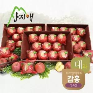[햇사과] 산지애 씻어나온 꿀사과 3kg 3box / 감홍, 대과, 봉지 세척사과 , 당도선별 13brix