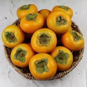 국내산 프리미엄 후르츠 단감 5kg 대과