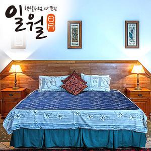 2026년형 일월 워셔블 카본매트 로얄 더블 2인용 탄소매트 전기매트 전기장판