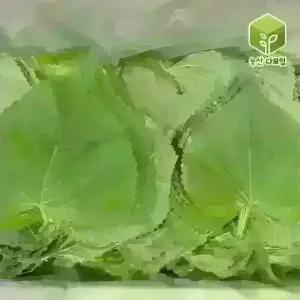 국내산 찹찹이 깻잎 1kg