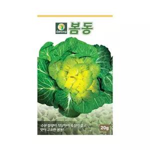 다농 봄동배추 씨앗 20g