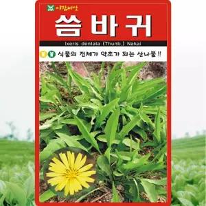 아람종묘 씀바귀 씨앗 100립 재래종 씀바귀씨 약초 종자