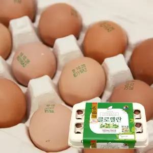 클로렐라 먹인 클로렐란 30구/특대란