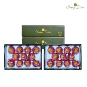 경북 감홍 세척 사과 (대과) 2.7kg*2박스(과당 250g~375g 내외, 박스당 8~11과)