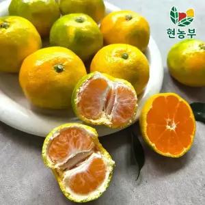제주 조생 노지 감귤 가정용 실중량 9kg L/2L(대과)