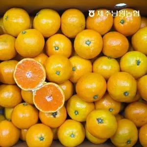 제주남원농협 제주 노지감귤 소과 4.5kg (실중량)