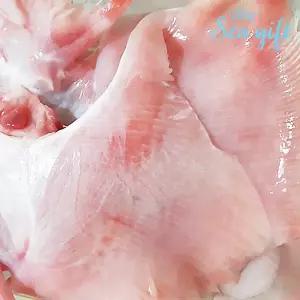 냉동 가오리날개 10kg 탈피 가오리 찜 무침 구이 업소용
