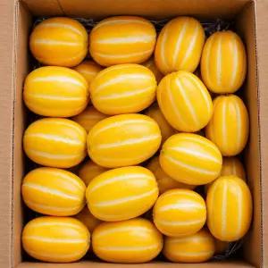 성주 꿀 참외 달콤한 대용량 가정용 10kg 랜덤과