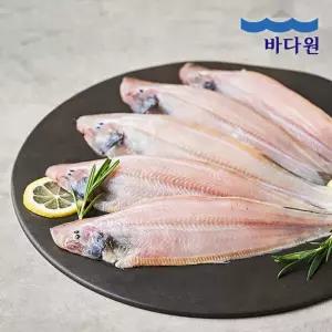 제철장터 바다원 군산박대 서대 150g 12팩
