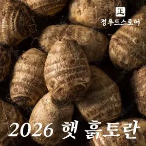 정푸드 산 흙토란 특(큰 토란) 5kg 곡성 생토란
