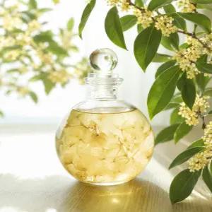최고급 프리저브드 플라워 구체 디퓨저 금목서향 만리향 250ml