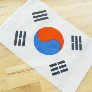(다올)미니 태극기 14X21cm 응원 행사용 폴리 국기 천수기