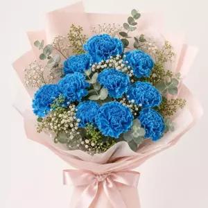 [아트플라워] 카네이션 블루보라 생화10송이 꽃다발포장 기념일 생일선물 어버이날