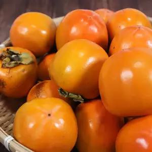 [잇담]상주 둥시감 중소과 9kg(70-110개)