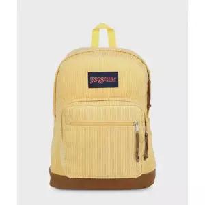 JANSPORT 라이트팩 익스프레션 코듀로이 SUN SHIMMER