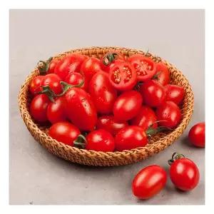 스테비아 대추방울토마토 레드 스윗마토 2kg (500g4팩)