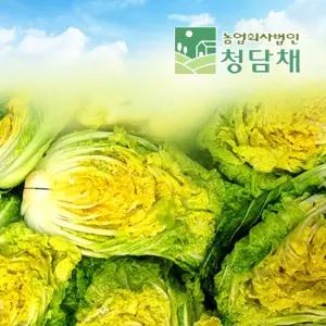 청담채 괴산 절임배추20kg 90일배추 국산 천일염으로 절인