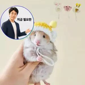 지금 필요한 촬영도구 햄스터 미니 핸드메이드 귀여운 모자 소동물