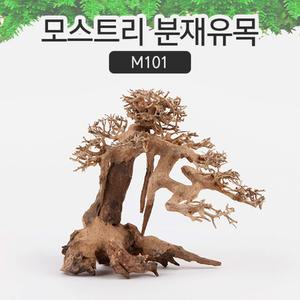 모스트리 분재유목M M101/수족관 어항 장식 구피 수초