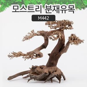 모스트리 분재유목L M442/수족관 어항 장식 구피 수초