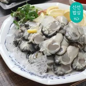 통영 햇 생굴 1kg 굴수협 위판 생굴 매일 1차 세척 후 출고