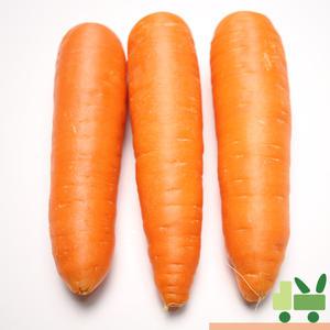 세척 당근 (2L) 5kg (중국산)