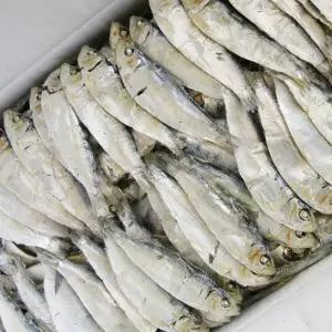 디포리(밴댕이) 상급1.5kg 한박스 육수국물용