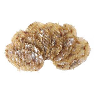 조미 쥐치포 쥐포 3L사이즈 특대 1kg (18~19미)