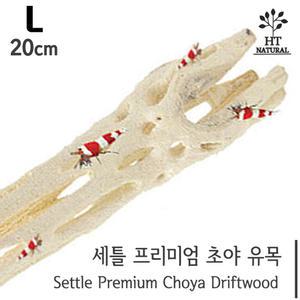 세틀 프리미엄 초야우드 [선인장 유목] 20cm /새우 안시 구피 코리 놀이터 은신처 쉬림프 수족관 어항 장식