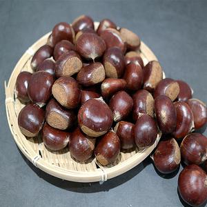 26년 햇밤 국내산 알밤/칼집밤 1kg 옵션선택