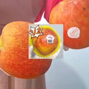 (엔비정품입고완료)사과유명한곳 소문난사과10키로 알아주는 예산엔비 명품 특특1호 맛있는사과