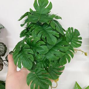 거북등잎 조화 꽃 DIY 백스크린 만들기 도마뱀 사육장 꾸미기 용품 비바리움 용품
