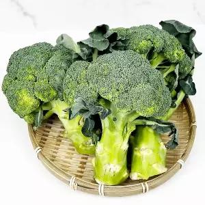 국내산 햇 브로콜리 브로컬리 1kg