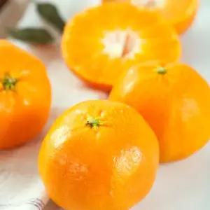[고랑몰라] 천혜향 3kg(11-13과)