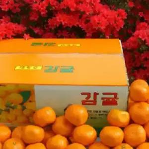 한라산농장 서귀포 극조생 귤 10KG 랜덤1종 발송 2S/S/M