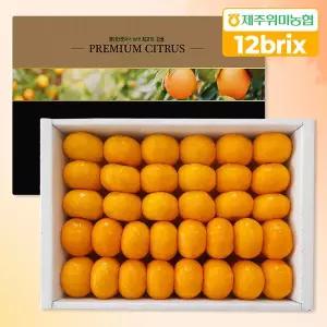 [싱귤생귤][제주위미농협] 당도선별 12brix 프리미엄 하우스감귤 3kg