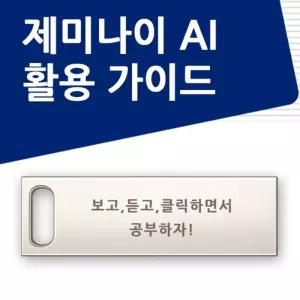 제미나이 실무 활용 가이드 USB  gemini AI  구글 글쓰기 이미지 생성형 동영상 코딩 사용법  책 교재 강좌 강의 교육 젬스 노트북LM 나노바나나 플로우 워크스페이스 업무