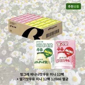 빙그레 바나나맛우유 미니 12팩 + 딸기맛우유 미니 12팩 120ml 멸균