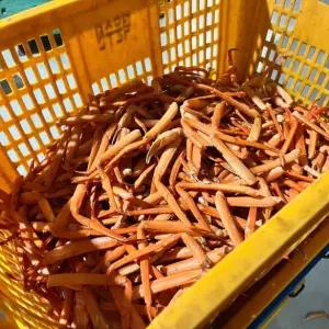 쏙쏙 홍게다리 1kg